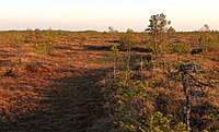 Rdeysky Nature Reserve.jpg