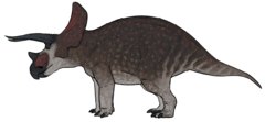 Triceratops horridus.png