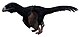 Atrociraptor.jpg
