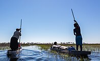 Путешествие по дельте Окаванго на макоро