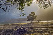 Beauty of Monsoon - Flickr - Yogendra174.jpg