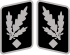 SS-Gruppenführer Collar Rank.svg