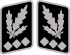 SS-Oberst-Gruppenführer collar.svg