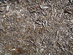 Surfaces woody mulch broken sticks on the ground.JPG