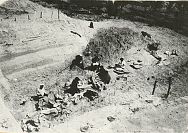 Раскопкі палеалітычнай стаянкі Бердыж. 1928.jpg