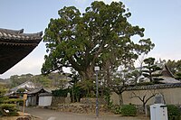 Dojoji Gobo Wakayama05n4272.jpg