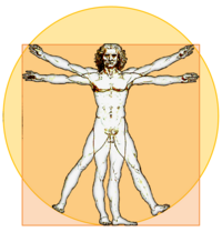 Vitruvian-Icon.png