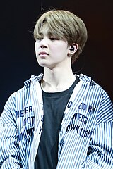 Пак Чимин на концерте The Wings Tour в Анахайме