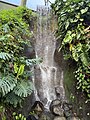 Waterfall in the Rainforest Biome at the Eden Project.jpg