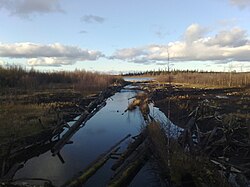 Лямукса у Мунозера.jpg