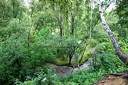 Котловка на выходе из коллектора. 2012 год