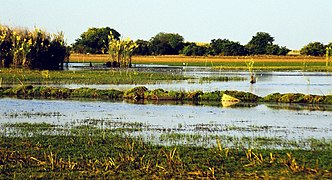 Бангвеулу