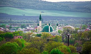 Мечеть города Сунжи