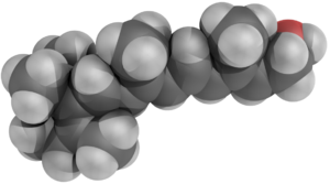 Трёхмерная модель молекулы ретинола