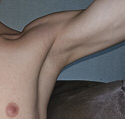 Shaved Armpit.jpg