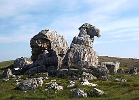 Скала Верблюд - памятник природы Оренбургской области.jpg