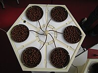 Hydroponic system-above PNr°0066.jpg