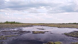 Озеро Шелкар Ега Кара 2.jpg