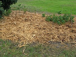 Mulch in New Zealand.jpg