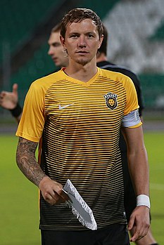 Roman Pavlyuchenko 2017.jpg