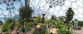 Eden Project Panorama 3.jpg