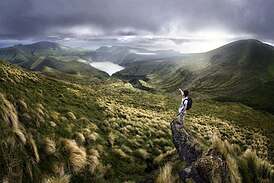 Мир юрского периода