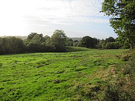 New Forest, Hampshire - panoramio (8).jpg