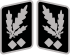 SS-Obergruppenführer Collar Rank.svg