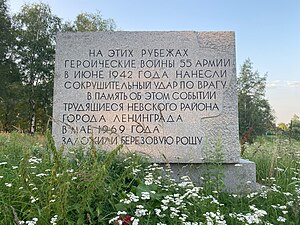 Штурм 2025-07-33.jpg