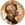 HughesMedal (round).png