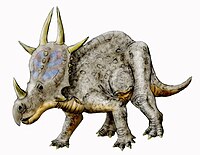 Rubeosaurus NT.jpg