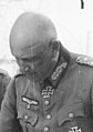 Генерал-полковник Адольф Штраус