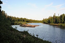 Река Берёзовая (приток Стрельны).jpg