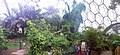 Tropical Biome, Eden Project - geograph.org.uk - 3022947.jpg