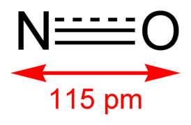 Nitric-oxide-2D.png