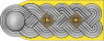 Luftwaffe epaulette Oberst.svg