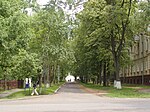 Вид улицы Мигунова на школу № 1