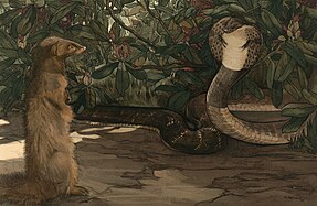 Rikki-Tikki (1903) Charles Maurice Detmold