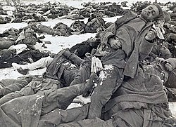 Сталинград. Оккупанты получили по заслугам