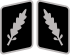 SS-Standartenführer Collar Rank.svg