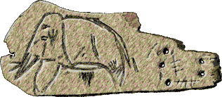 Изображение мамонта на мамонтовой кости со стоянки Мальта́ (хранится в Эрмитаже)