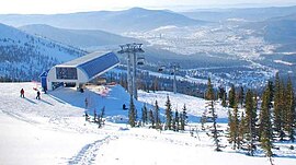 Зимние виды спорта