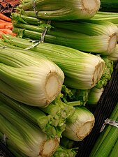 Черешковый сельдерей