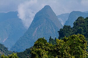 Paisagem mata atlanta regiao paraty 02.jpg