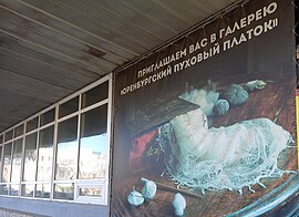 Музей "Оренбургскому пуховому платку" Россия Оренбург.jpg