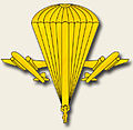 Петличный знак ВДВ