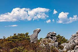 Столовая гора