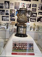 Кубок Робертана (вариант 1970 года, вручённый «Флуминенсе»)