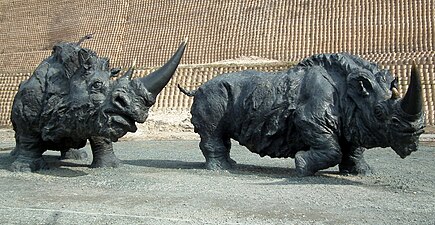 Носороги в «Археопарке»