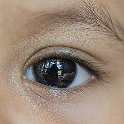 Глаз ребёнка